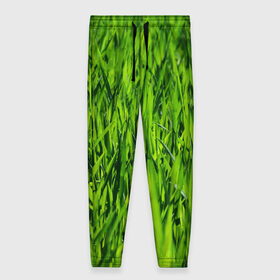 Женские брюки 3D с принтом Трава в Белгороде, полиэстер 100% | прямой крой, два кармана без застежек по бокам, с мягкой трикотажной резинкой на поясе и по низу штанин. В поясе для дополнительного комфорта — широкие завязки | газон | зелень | луг | луга | поле | природа | природный | растение | растения