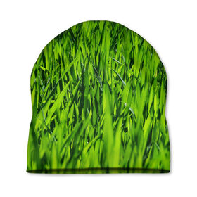 Шапка 3D с принтом Трава в Белгороде, 100% полиэстер | универсальный размер, печать по всей поверхности изделия | газон | зелень | луг | луга | поле | природа | природный | растение | растения