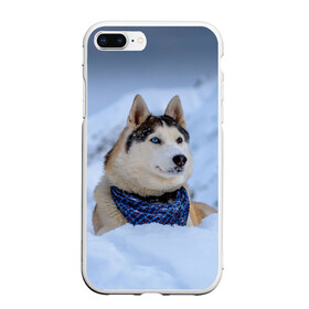Чехол для iPhone 7Plus/8 Plus матовый с принтом Хаски в Белгороде, Силикон | Область печати: задняя сторона чехла, без боковых панелей | dog | животные | пес | природа | собака | собаки | собакчка | собачки | хаски