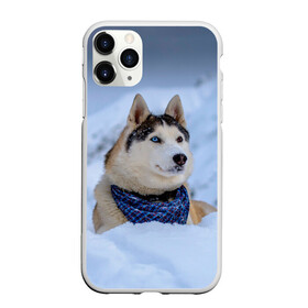 Чехол для iPhone 11 Pro матовый с принтом Хаски в Белгороде, Силикон |  | dog | животные | пес | природа | собака | собаки | собакчка | собачки | хаски