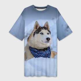 Платье-футболка 3D с принтом Хаски в Белгороде,  |  | dog | животные | пес | природа | собака | собаки | собакчка | собачки | хаски