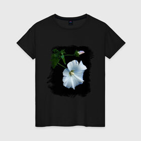 Женская футболка хлопок с принтом Лаватера в Белгороде, 100% хлопок | прямой крой, круглый вырез горловины, длина до линии бедер, слегка спущенное плечо | букет | лаватера | лето | растение | сад | фото лаватеры | цветок