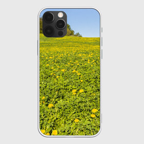 Чехол для iPhone 12 Pro Max с принтом Поле одуванчиков в Белгороде, Силикон |  | одуванчики | одуванчиков | пейзаж | пейзажи | поле | поля | природа | природный | растение | растения | флора | цветок | цветы