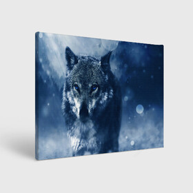 Холст прямоугольный с принтом Красивый волк в Белгороде, 100% ПВХ |  | wolf | ауф | волк | волчонок | зима | синеглазый волк
