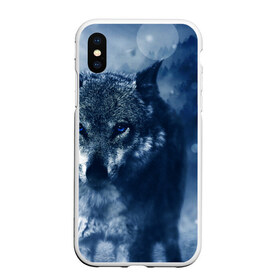 Чехол для iPhone XS Max матовый с принтом Красивый волк в Белгороде, Силикон | Область печати: задняя сторона чехла, без боковых панелей | wolf | ауф | волк | волчонок | зима | синеглазый волк