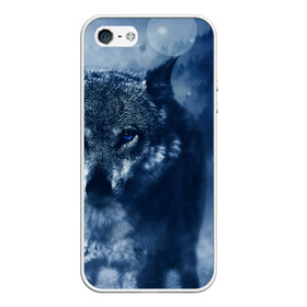 Чехол для iPhone 5/5S матовый с принтом Красивый волк в Белгороде, Силикон | Область печати: задняя сторона чехла, без боковых панелей | wolf | ауф | волк | волчонок | зима | синеглазый волк