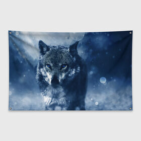 Флаг-баннер с принтом Красивый волк в Белгороде, 100% полиэстер | размер 67 х 109 см, плотность ткани — 95 г/м2; по краям флага есть четыре люверса для крепления | wolf | ауф | волк | волчонок | зима | синеглазый волк