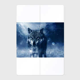 Магнитный плакат 2Х3 с принтом Красивый волк в Белгороде, Полимерный материал с магнитным слоем | 6 деталей размером 9*9 см | wolf | ауф | волк | волчонок | зима | синеглазый волк