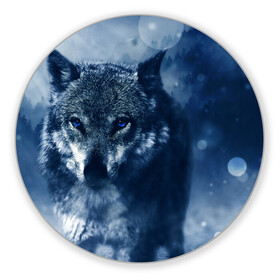 Коврик для мышки круглый с принтом Красивый волк в Белгороде, резина и полиэстер | круглая форма, изображение наносится на всю лицевую часть | wolf | ауф | волк | волчонок | зима | синеглазый волк