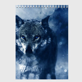 Скетчбук с принтом Красивый волк в Белгороде, 100% бумага
 | 48 листов, плотность листов — 100 г/м2, плотность картонной обложки — 250 г/м2. Листы скреплены сверху удобной пружинной спиралью | Тематика изображения на принте: wolf | ауф | волк | волчонок | зима | синеглазый волк