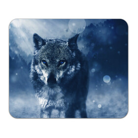 Коврик для мышки прямоугольный с принтом Красивый волк в Белгороде, натуральный каучук | размер 230 х 185 мм; запечатка лицевой стороны | wolf | ауф | волк | волчонок | зима | синеглазый волк