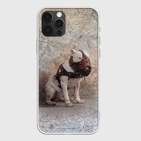 Чехол для iPhone 12 Pro Max с принтом Бойцовый бультерьер в Белгороде, Силикон |  | bull terrier | dog | ears | eyes | muzzle | paws | plaster | texture | wall | бультерьер | глаза | лапы | намордник | пёс | собака | стена | текстура | уши | штукатурка