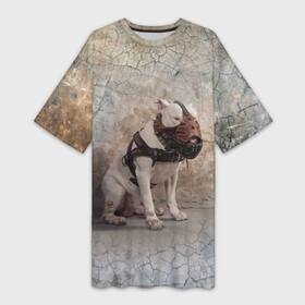 Платье-футболка 3D с принтом Бойцовый бультерьер в Белгороде,  |  | bull terrier | dog | ears | eyes | muzzle | paws | plaster | texture | wall | бультерьер | глаза | лапы | намордник | пёс | собака | стена | текстура | уши | штукатурка