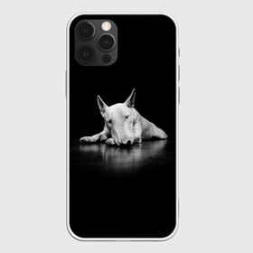 Чехол для iPhone 12 Pro Max с принтом Puppy в Белгороде, Силикон |  | bull terrier | dog | ears | eyes | muzzle | nose | paws | puppy | бультерьер | глаза | лапы | нос | уши | щенок