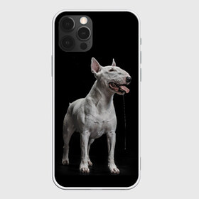 Чехол для iPhone 12 Pro Max с принтом Bully в Белгороде, Силикон |  | Тематика изображения на принте: bull terrier | dog | ears | eyes | fangs | jaw | muzzle | paws | saliva | tongue | бультерьер | глаза | клыки | лапы | нос | пасть | слюна | собака | уши | язык