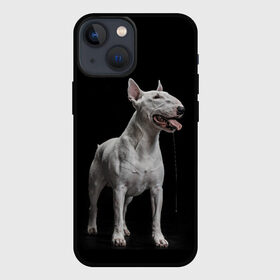 Чехол для iPhone 13 mini с принтом Bully в Белгороде,  |  | Тематика изображения на принте: bull terrier | dog | ears | eyes | fangs | jaw | muzzle | paws | saliva | tongue | бультерьер | глаза | клыки | лапы | нос | пасть | слюна | собака | уши | язык