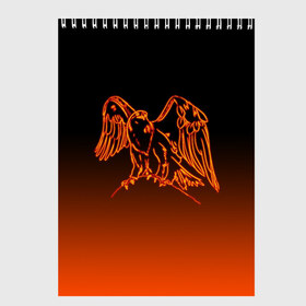 Скетчбук с принтом Огненный орел в Белгороде, 100% бумага
 | 48 листов, плотность листов — 100 г/м2, плотность картонной обложки — 250 г/м2. Листы скреплены сверху удобной пружинной спиралью | Тематика изображения на принте: bird | eagle | falcon | fiery | fire | neon | orange | арт | беркут | горящая птица | дикий | животные | крылья | неоновый | огненная птица | орел | орлан | перья | пламя | природа | птица | птица огонь | птичка | сокол