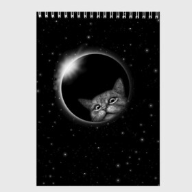 Скетчбук с принтом Кот в Космосе в Белгороде, 100% бумага
 | 48 листов, плотность листов — 100 г/м2, плотность картонной обложки — 250 г/м2. Листы скреплены сверху удобной пружинной спиралью | 2021 | cat | вселенная | галактика | галактический кот | единорог | звезда | звезды | земля | космический кот | космос | кот | кот в космосе | кот мем | котик | кошак | мем | мемы | милый кот | милый котик