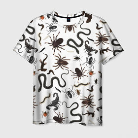 Мужская футболка 3D с принтом Жуткие насекомые в Белгороде, 100% полиэфир | прямой крой, круглый вырез горловины, длина до линии бедер | арт | белый | живность | животные | жук | жуткие насекомые | жуть | змея | клоп | набор насекомых | опарыш | паразит | паук | пиявка | рисунок | сколопендра | скорпион | таракан | фон | червь | ядовитый