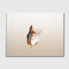 Альбом для рисования с принтом летящая сова рисунок в Белгороде, 100% бумага
 | матовая бумага, плотность 200 мг. | акварель | акварельный | арт | брызги | градиент | животные | звери | краска | крылья | момент | полет | потеки | рисунок | скетч | сова | филин