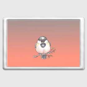Магнит 45*70 с принтом акварельная птица на ветке в Белгороде, Пластик | Размер: 78*52 мм; Размер печати: 70*45 | 