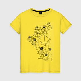 Женская футболка хлопок с принтом Ромашки в Белгороде, 100% хлопок | прямой крой, круглый вырез горловины, длина до линии бедер, слегка спущенное плечо | 