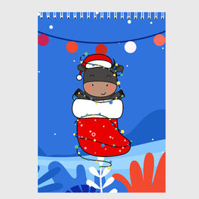 Скетчбук с принтом Бык в новогоднем носке в Белгороде, 100% бумага
 | 48 листов, плотность листов — 100 г/м2, плотность картонной обложки — 250 г/м2. Листы скреплены сверху удобной пружинной спиралью | Тематика изображения на принте: 2021 | 7 января | bull | newyear | santa | бык | быки | бычок | год быка | дед мороз | корова | новогодние каникулы | новогодние праздники | новый 2021 | новый год | новый год 2021 | рождество | сани | санта | санта клаус