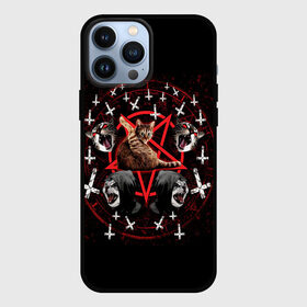 Чехол для iPhone 13 Pro Max с принтом Satanic Cat в Белгороде,  |  | Тематика изображения на принте: satan | киска | кот | кот мем | кошечка | кошка | кошки и коты | лиса | лисы | мем | мемы | с кошкой | сатана