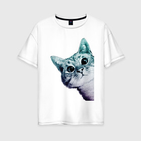 Женская футболка хлопок Oversize с принтом Любопытный кот в Белгороде, 100% хлопок | свободный крой, круглый ворот, спущенный рукав, длина до линии бедер
 | cat | домашние животные | животные | звери | кат | кот | котенок | коты | кошка