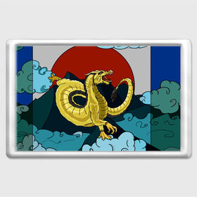 Магнит 45*70 с принтом Китайский дракон в Белгороде, Пластик | Размер: 78*52 мм; Размер печати: 70*45 | дракон | китайский дракон