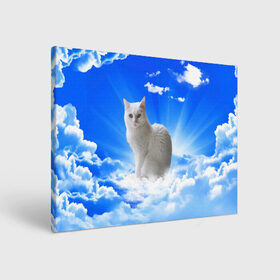 Холст прямоугольный с принтом Кот в облаках в Белгороде, 100% ПВХ |  | Тематика изображения на принте: animals | cat | kitty | ангел | белый кот | блики | взгляд кота | глаза кота | животные | киска | кот | котейка | котенок | котик | кошак | кошка | лучи | мордочка | небесный | небо | облака | пейзаж | питомец