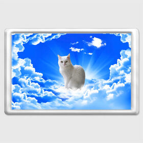 Магнит 45*70 с принтом Кот в облаках в Белгороде, Пластик | Размер: 78*52 мм; Размер печати: 70*45 | Тематика изображения на принте: animals | cat | kitty | ангел | белый кот | блики | взгляд кота | глаза кота | животные | киска | кот | котейка | котенок | котик | кошак | кошка | лучи | мордочка | небесный | небо | облака | пейзаж | питомец
