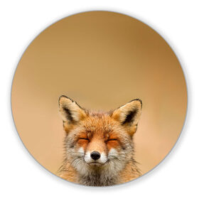 Коврик для мышки круглый с принтом Милая лисичка в Белгороде, резина и полиэстер | круглая форма, изображение наносится на всю лицевую часть | fox | foxy | животное | звери | лиса | лисенок | лисичка | милая | рыжая | фокс