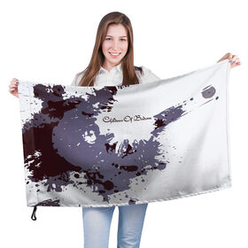 Флаг 3D с принтом Children of Bodom в Белгороде, 100% полиэстер | плотность ткани — 95 г/м2, размер — 67 х 109 см. Принт наносится с одной стороны | children of bodom | группа | дети озера бодом | дэт метал | мелодик дэт метал | пауэр метал | трэш метал