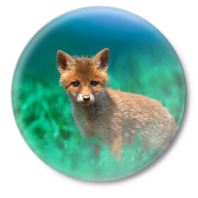 Значок с принтом маленький лисенок в Белгороде,  металл | круглая форма, металлическая застежка в виде булавки | Тематика изображения на принте: fox | foxy | животное | звери | лиса | лисенок | лисичка | милая | рыжая | фокс