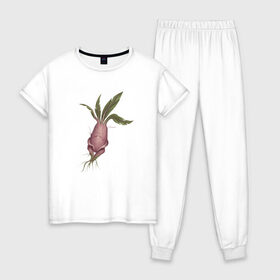 Женская пижама хлопок с принтом Мандрагора в Белгороде, 100% хлопок | брюки и футболка прямого кроя, без карманов, на брюках мягкая резинка на поясе и по низу штанин | корни | листочки | растение | фэнтези