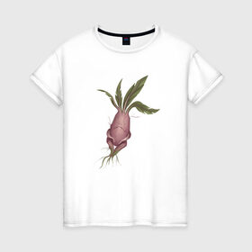 Женская футболка хлопок с принтом Мандрагора в Белгороде, 100% хлопок | прямой крой, круглый вырез горловины, длина до линии бедер, слегка спущенное плечо | корни | листочки | растение | фэнтези