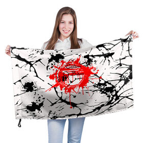 Флаг 3D с принтом Children of Bodom в Белгороде, 100% полиэстер | плотность ткани — 95 г/м2, размер — 67 х 109 см. Принт наносится с одной стороны | children of bodom | группа | дети озера бодом | дэт метал | мелодик дэт метал | пауэр метал | трэш метал