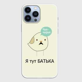 Чехол для iPhone 13 Pro Max с принтом Чык чырык в Белгороде,  |  | belarus | chyk chyryk | daddy | lukashenka | mustache | print chyk chyryk | sparrow | sparrow chyk chyryk | sparrow with mustache | батька | беларусь | воробей | воробей с усами | воробей чык чырык | лукашенко | принт чык чырык | усы | чык ч