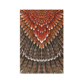 Обложка для паспорта матовая кожа с принтом оперение орел (2) в Белгороде, натуральная матовая кожа | размер 19,3 х 13,7 см; прозрачные пластиковые крепления | feathers | plumage | бурый | друид | индеец | коричневый | оперение | оранжевый | орёл | пернатый | перо | перья | природа | птица | рыжий | сова | сон | ястреб