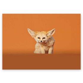Поздравительная открытка с принтом Забавный лисенок в Белгороде, 100% бумага | плотность бумаги 280 г/м2, матовая, на обратной стороне линовка и место для марки
 | fox | foxy | животное | звери | лиса | лисенок | лисичка | милая | рыжая | фокс