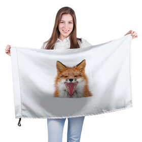 Флаг 3D с принтом Снежная лиса в Белгороде, 100% полиэстер | плотность ткани — 95 г/м2, размер — 67 х 109 см. Принт наносится с одной стороны | fox | foxy | животное | звери | лиса | лисенок | лисичка | милая | рыжая | фокс