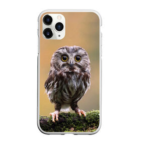 Чехол для iPhone 11 Pro Max матовый с принтом СОВЕНОК в Белгороде, Силикон |  | animal | bird | животные | звери | лес | малыш | природа | птенец | птицы | сова | совенок
