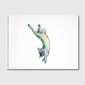 Альбом для рисования с принтом Инопланетный котик в Белгороде, 100% бумага
 | матовая бумага, плотность 200 мг. | Тематика изображения на принте: cat | dream | кот | сон
