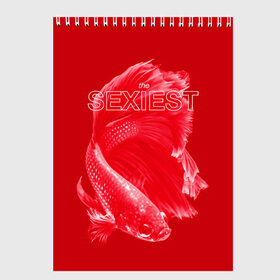 Скетчбук с принтом Самый сексуальный в Белгороде, 100% бумага
 | 48 листов, плотность листов — 100 г/м2, плотность картонной обложки — 250 г/м2. Листы скреплены сверху удобной пружинной спиралью | Тематика изображения на принте: red | альфа | альфа самец | красный | рыба | рыбка