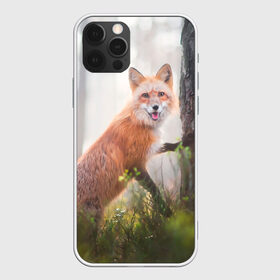 Чехол для iPhone 12 Pro Max с принтом Лисица в Белгороде, Силикон |  | fox | foxy | животное | звери | лиса | лисенок | лисичка | милая | рыжая | фокс