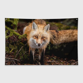 Флаг-баннер с принтом Лиса в Белгороде, 100% полиэстер | размер 67 х 109 см, плотность ткани — 95 г/м2; по краям флага есть четыре люверса для крепления | fox | foxy | животное | звери | лиса | лисенок | лисичка | милая | рыжая | фокс