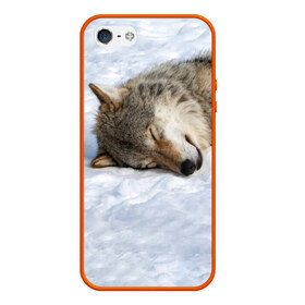 Чехол для iPhone 5/5S матовый с принтом Спящий Волк в Белгороде, Силикон | Область печати: задняя сторона чехла, без боковых панелей | animals | wolf | волк | волки | животные | звери | зверь | одиночество | одиночка | пёс | собака | спящий волк