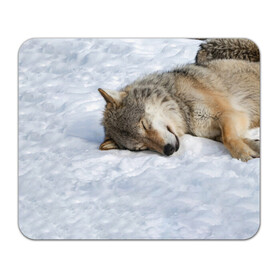Коврик для мышки прямоугольный с принтом Спящий Волк в Белгороде, натуральный каучук | размер 230 х 185 мм; запечатка лицевой стороны | Тематика изображения на принте: animals | wolf | волк | волки | животные | звери | зверь | одиночество | одиночка | пёс | собака | спящий волк