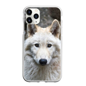 Чехол для iPhone 11 Pro матовый с принтом Волк в Белгороде, Силикон |  | animals | wolf | волк | волки | животные | звери | зверь | луна | одиночество | одиночка | пёс | собака